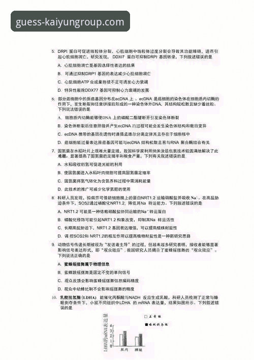 KAIYUN正版 掌握KAIYUN正版竞猜的核心策略:2026新版实用指南